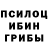 Метадон белоснежный Finx Ch.
