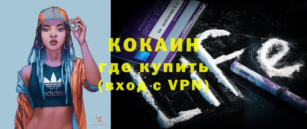 индика Вязьма